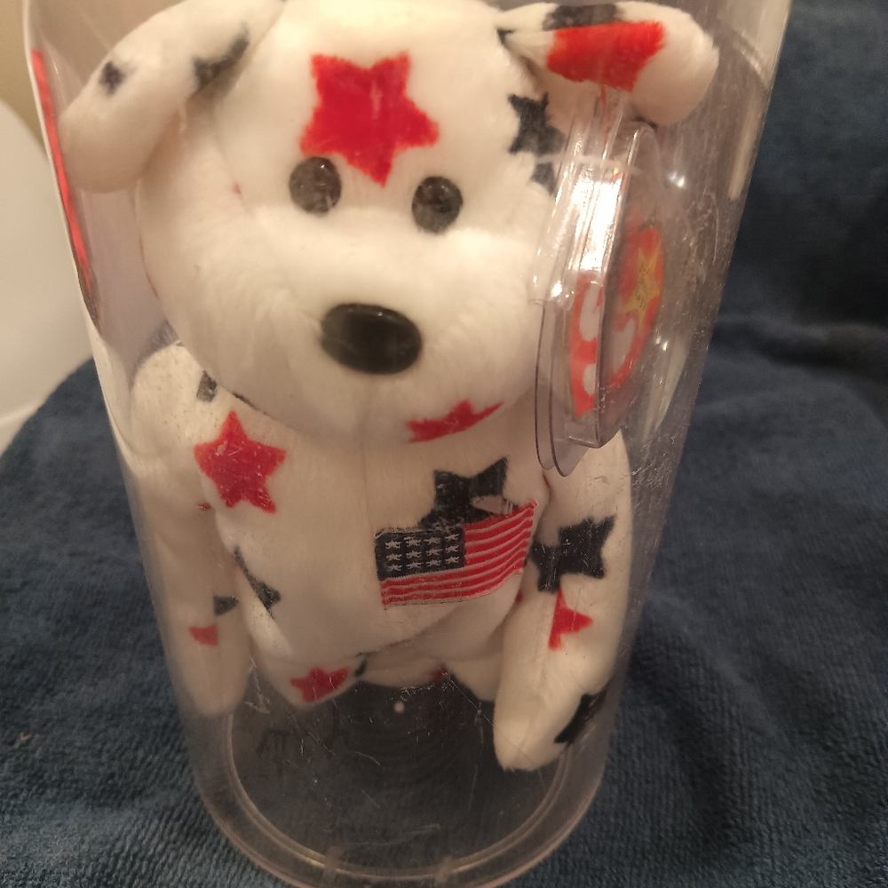 Ty Beanie Baby Glory Bear In Hard Plastic Protective Case